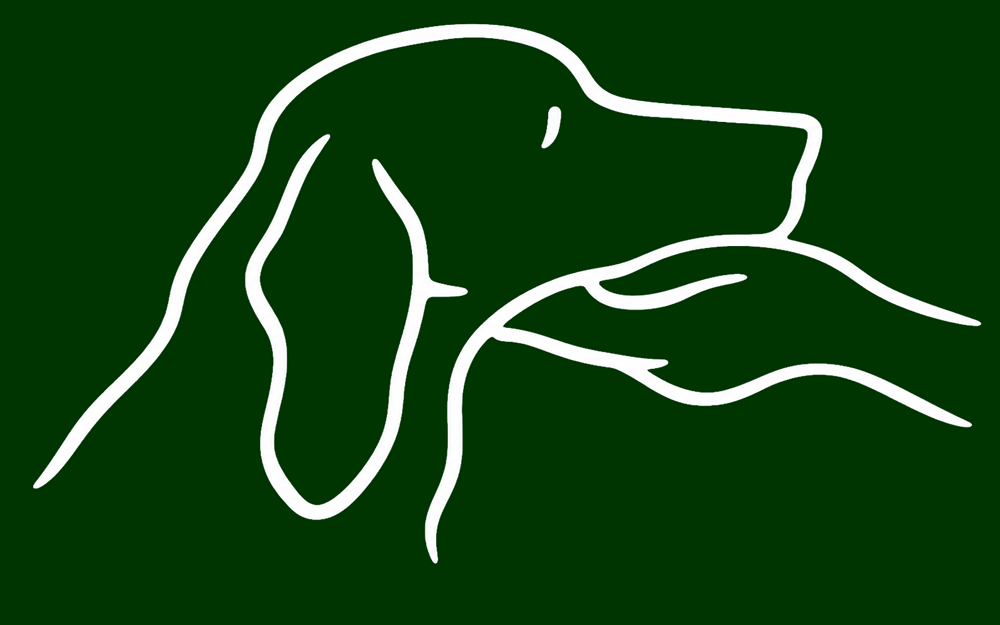 Dog-Sketch
